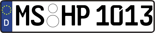 MS-HP1013