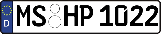 MS-HP1022