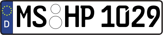 MS-HP1029