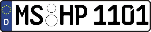 MS-HP1101