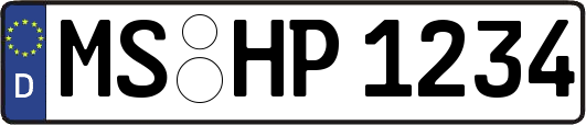 MS-HP1234