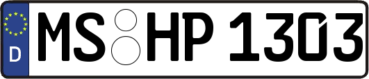 MS-HP1303
