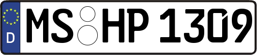 MS-HP1309