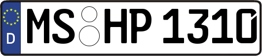 MS-HP1310
