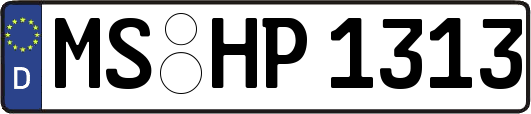 MS-HP1313