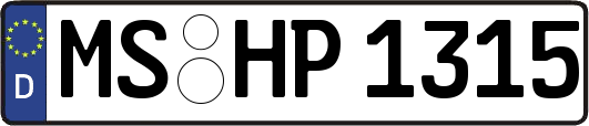 MS-HP1315