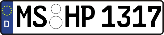 MS-HP1317