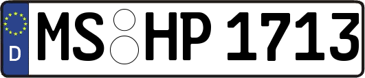 MS-HP1713