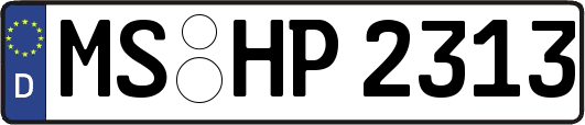 MS-HP2313