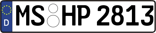 MS-HP2813