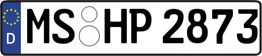MS-HP2873