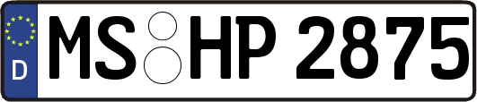 MS-HP2875