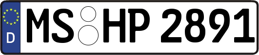MS-HP2891