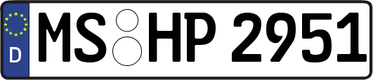 MS-HP2951