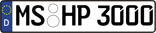 MS-HP3000