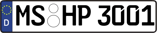 MS-HP3001