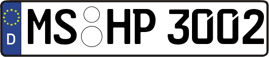MS-HP3002