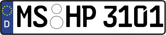 MS-HP3101