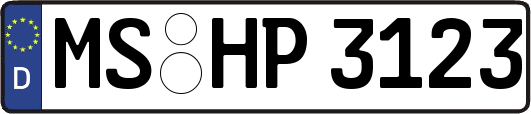 MS-HP3123