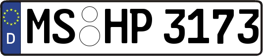 MS-HP3173