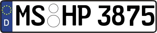 MS-HP3875