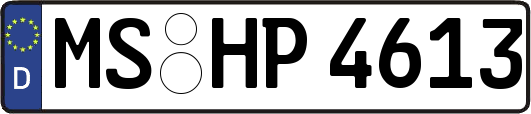 MS-HP4613