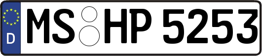 MS-HP5253