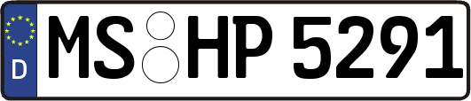 MS-HP5291