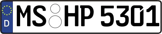 MS-HP5301