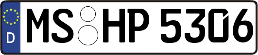 MS-HP5306