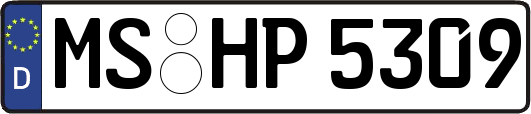 MS-HP5309