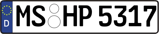 MS-HP5317