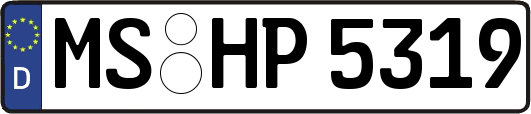 MS-HP5319