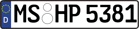 MS-HP5381