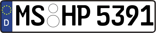 MS-HP5391
