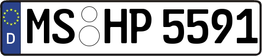 MS-HP5591