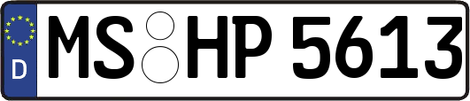 MS-HP5613
