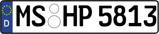 MS-HP5813