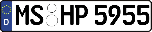 MS-HP5955