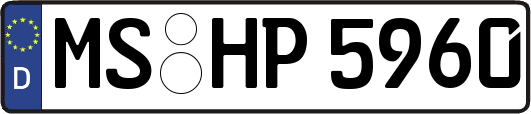 MS-HP5960