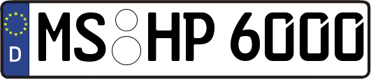 MS-HP6000