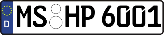 MS-HP6001