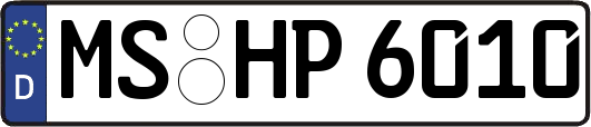 MS-HP6010