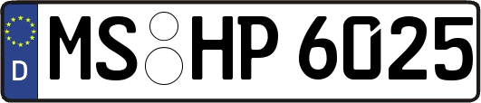 MS-HP6025