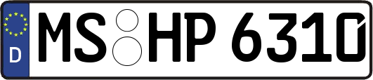 MS-HP6310