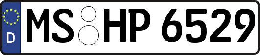 MS-HP6529
