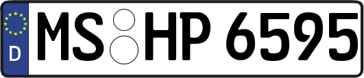 MS-HP6595