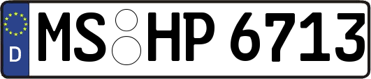 MS-HP6713