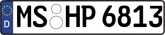 MS-HP6813