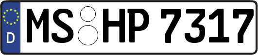 MS-HP7317